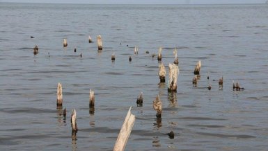 Van Gölü'nde şaşırtan olay! Sular çekilince 60 yıllık iskele gün yüzüne çıktı