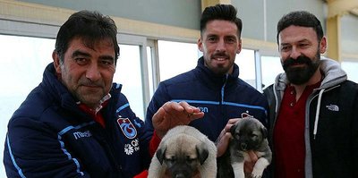Sosa'dan taraftara mesaj!