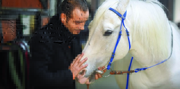 jokey selim kaya kararimi verdim artik