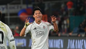 Kore boğası hazır