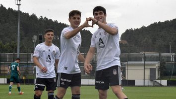 Şahin avrupa yolunda