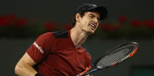 Murray’nin sakatlık kabusu sürüyor