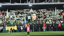 Bedava kombine