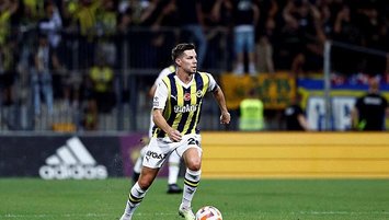 Yabancı sirkülasyonu