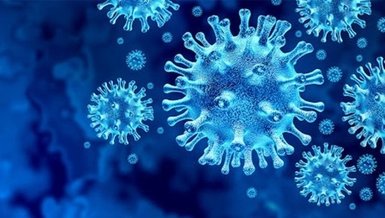 Tokyo Olimpiyatları'nda corona virüsü vaka sayısı 241'ye çıktı