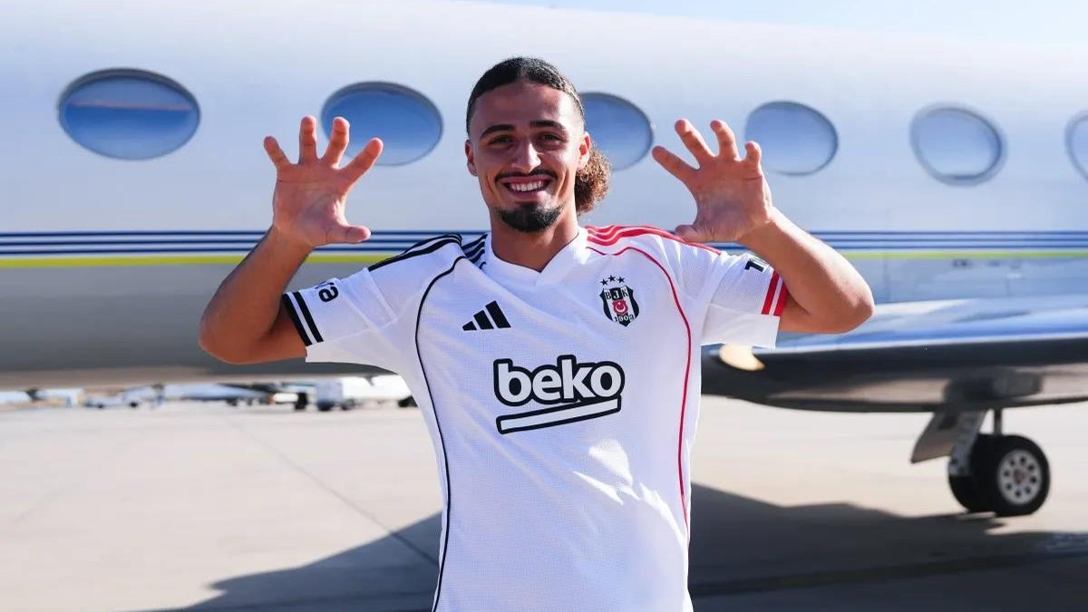 Taylan yerli statüsünde