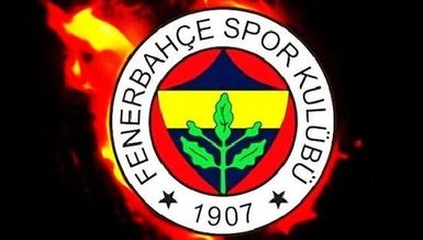 Son dakika: Fenerbahçe İsmail Yüksek'i transfer etti! İsmail Yüksel kimdir?