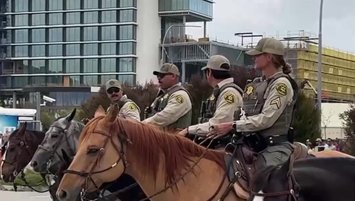 Dünya Kupası'nın atlı polisleri!