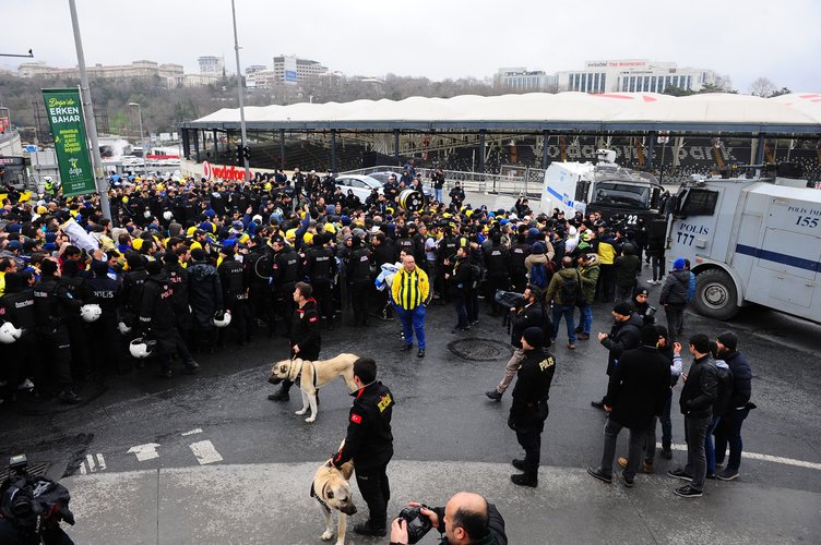 Kangal köpekleri görev başında