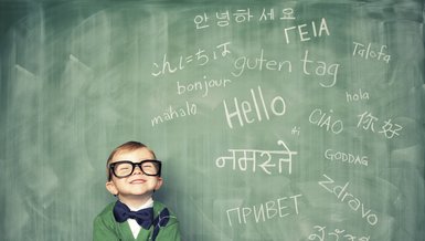 Temel Seviye Korece Kursu Sertifika Programı e-DEVLET | Temel Seviye Korece Kursu Sertifika Programı ücretsiz mi? Ne işe yarar?