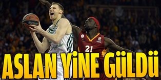 Aslan yine kazandı