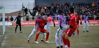 Aslan Erzincan’da dondu