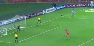 Panenka kovdurttu