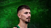 Sakaryaspor'da Totre ayrıldı