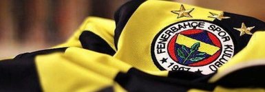 Fenerbahçe’de alacaklılar kapıda! Nani, Van der Wiel, Serdar Kesimal, Emenike, Kadlec, Markovic