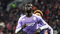 Diatta hamlesi