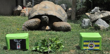 Tuki bu kez de ‘F.Bahçe’ dedi