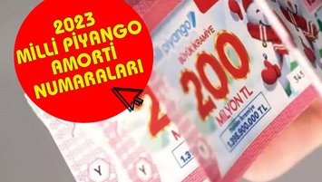 Milli Piyango amorti numaraları - 2,3,4,5 bilen kaç TL alıyor?