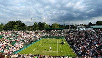 Wimbledon'da rekor ödül!