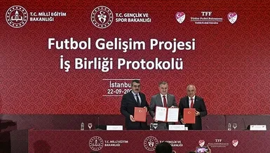 Dev iş birliği