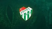 Timsah şov