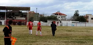 Maça damgasını vuran köpek