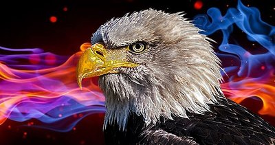 Kartal 3 ismin peşinde!