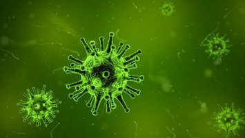 Online corona virüsü testi nasıl yapılır?