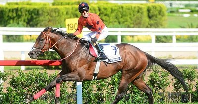 Ahmet Çelik'in Gazi Koşusu gururu