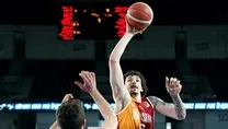 Aslan kayıp