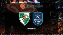 Zalgiris-Anadolu Efes maçı canlı yayın bilgisi!