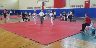 Bayraklı'nın sporcuları derecelerle döndü