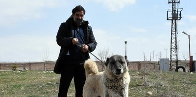 Ünal Karaman'ın 'Kangal köpeği' sevgisi