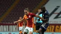 Taylan tek başına