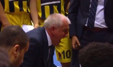 Zeljko Obradovic molada çılgına döndü!