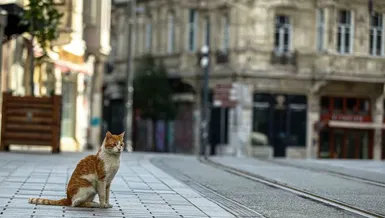 18 Mayıs'ta bakkal ve marketler açık mı?