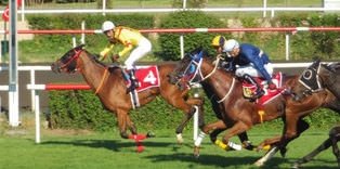 Gazi'nin 87. galibi Divine Heart