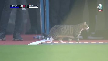 Ziraat Türkiye Kupası'nda davetsiz misafir