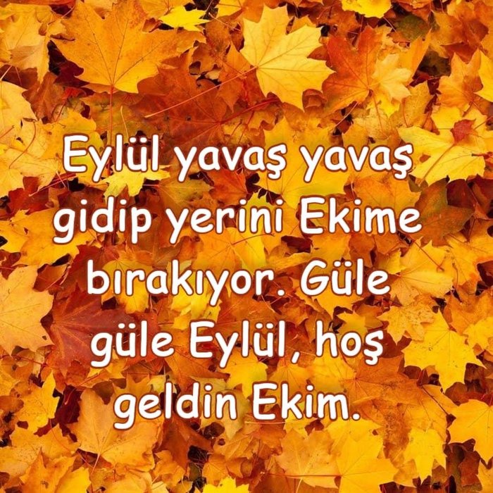 ekim-ayi-sozleri-2023-sonbahar-ekim-ayi-resimli-mesajlari-facebook-whatsapp-instagram-1696059136514.jpeg