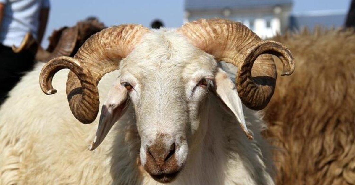 bayram ikramiyeleri ne zaman yatacak