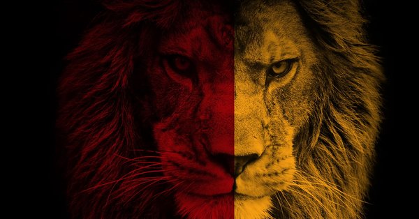 galatasaray a kotu haber ayrilmak
