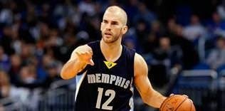 Potada Calathes de yolda