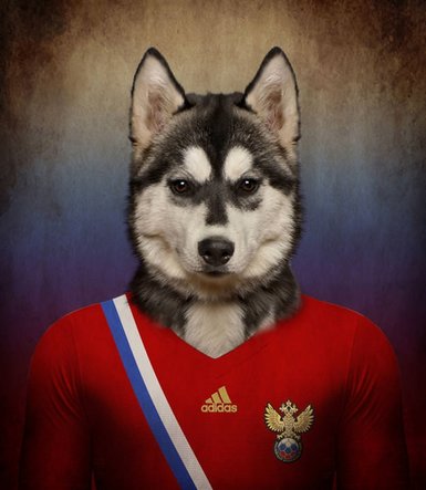 Dünya Köpek Kupası