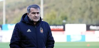 Yeni transfer Töre!