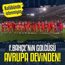 Amed Sportif Faaliyetler: bilmeniz gerekenler — image 5