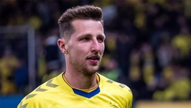 Wilczek gelmek istiyor