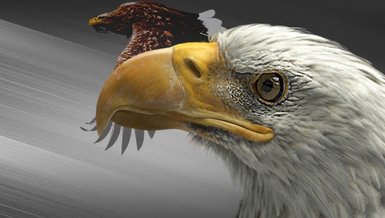 Beşiktaş'ta transfer harekatı! İngiltere'den geliyor...