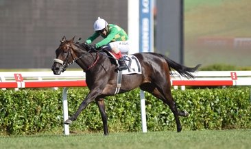 Gazi koşusunu The Last Romance kazandı