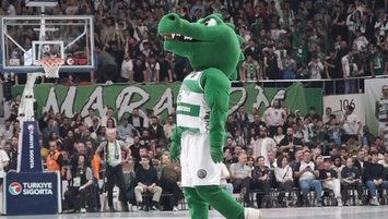 Timsah'tan flaş transfer