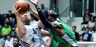 Kara Kartal yüksek uçtu